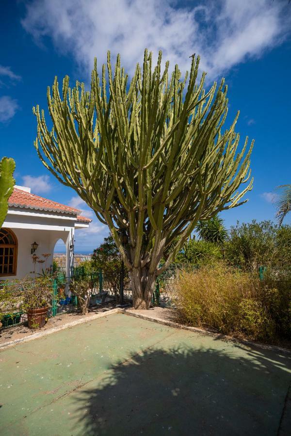 Finca Isabel Apartamento San Bartolomé Exterior foto